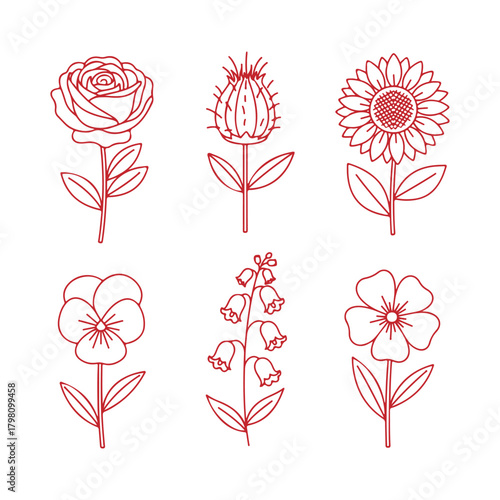 Six Red Line Art Botanical Flower Illustrations Rose Sunflower Lily of the Valley Pansy Thistle