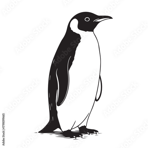 Elegant black and white penguin illustration standing upright in profile featuring a distinctive eye ring