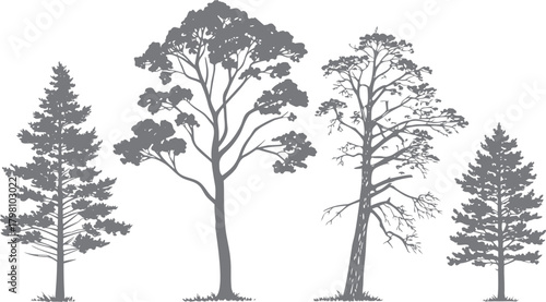 Landscape CAD Symbols, Trees, Plants, Shrubs & Rock Line Art for Architecture and Garden Plans