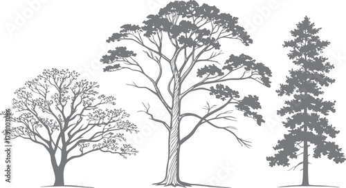 Landscape CAD Symbols, Trees, Plants, Shrubs & Rock Line Art for Architecture and Garden Plans