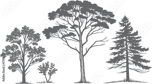 Landscape CAD Symbols, Trees, Plants, Shrubs & Rock Line Art for Architecture and Garden Plans