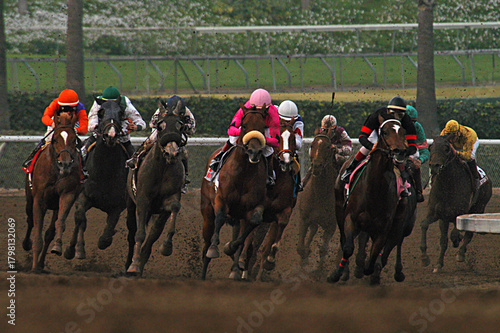 Field of horses rounding the final turn at Santa Anita Racetrack