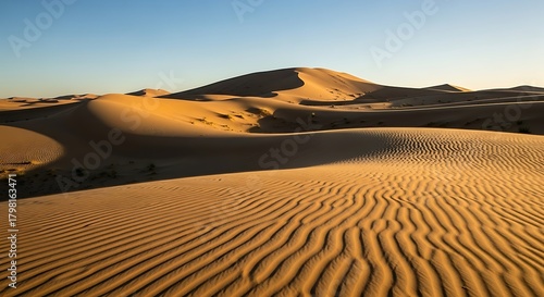 Fototapeta Naklejka Na Ścianę i Meble -  Sahara Desert Sand Dunes Landscape, Golden Hour Light, and Texture