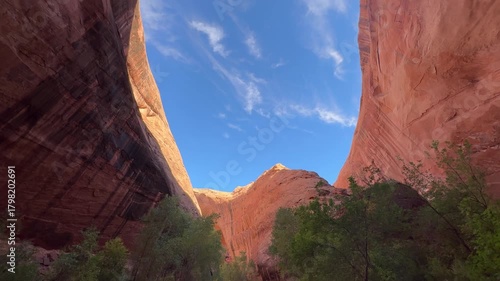 Massive sandstone alcove opening toward sunlit canyon in Coyote Gulch