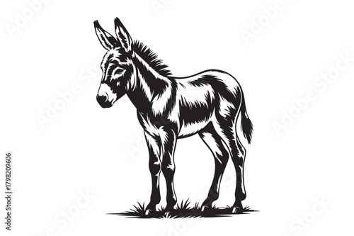 Black and white sketch of a young donkey standing in grass