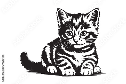 Adorable tabby kitten sitting and looking forward