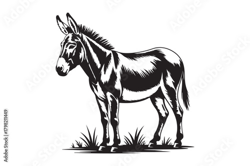 Detailed black and white illustration of a standing donkey