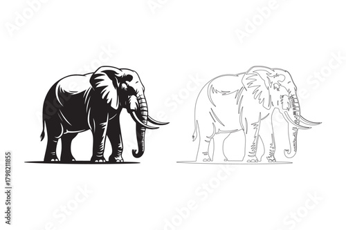 Elephant and abstract shape in sketchy illustration style