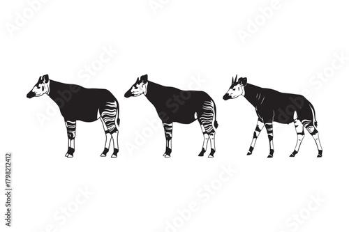 Three okapi animals standing side by side in silhouette