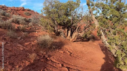 Wide desert vista with red rock mesas and sparse vegetation