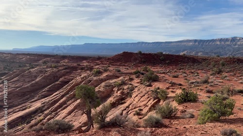 Wide desert vista with red rock mesas and sparse vegetation