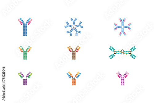 Antibodies Types Diagram Science Design. Vector Illustration.