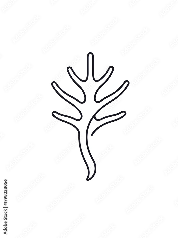 Obraz premium reniform icon. Thin line reniform icon from nature collection. Outline vector isolated on white background. Editable reniform symbol can be used web and mobile