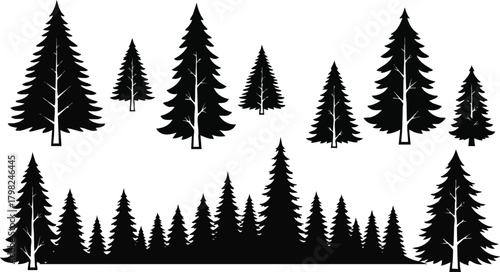 Collection of diverse black and white pine tree silhouettes, perfect for nature designs, forest borders, or winter holiday themes