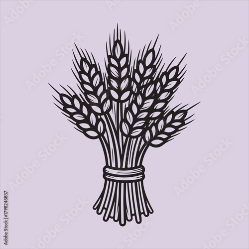 From Bible corn line art vector