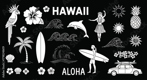 Hawaiian themed vector illustration with traditional symbols in black and white, showcasing tropical island culture