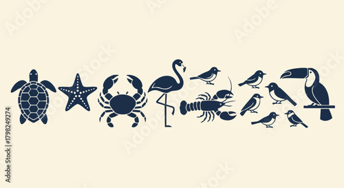 Minimalist vector silhouettes of diverse tropical and marine wildlife. Features sea creatures and exotic birds. Great for nature or travel design