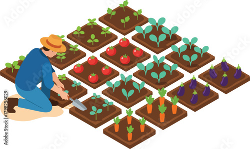 Isometric illustration of a farmer planting seedlings in a vegetable garden with tomatoes, carrots, eggplants, and other crops