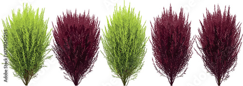 Abstract Arrangement of Tall, Thin, Bushy Plants in Alternating Green and Burgundy Hues