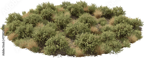 A vibrant, textured close-up of a dense, arid landscape covered in overgrown bushes and dry grasses, showcasing natural vegetation