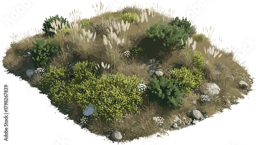 Overhead view of a vibrant and textured landscape with diverse flora, rocks, and dry grass