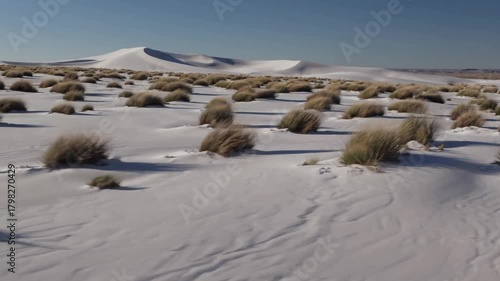 Stunning White Sand Dunes with Grassy Tufts Under Clear Blue Sky