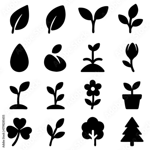 Nature's Symphony: An array of artistic silhouettes showcases the mesmerizing life cycle of flora, from seeds and leaves to blossoming flowers and vibrant plants.