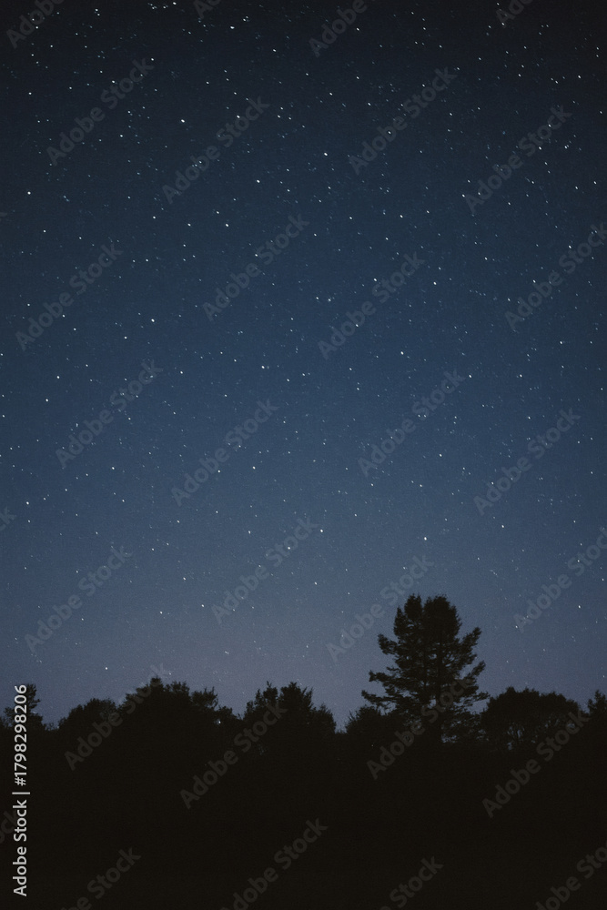Fototapeta premium A captivating starfield blankets a tranquil nightscape above a silhouette of trees, creating a serene contrast between the celestial and terrestrial.