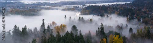Morning fog drifts through a scenic, forested Pacific Northwest landscape near Portland, Oregon. Fog and mist forms when moist air cools to its dew point, causing water vapor to condense.