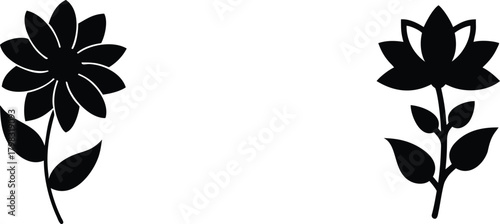 Floral Harmony: Two elegant floral silhouettes, representing the delicate beauty of nature, stand out against the plain background, highlighting their intricate design and symmetrical form.