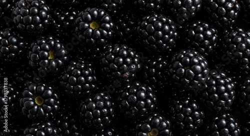 A close-up of deeply purple-black ripe blackberries glistening with natural sugars, perfectly showcasing their plump texture and sweet appeal, fruit, close-up, delicious