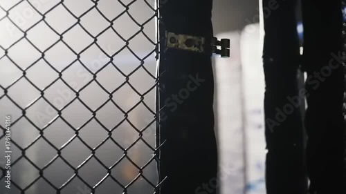Cage fight detail with chain link fence.