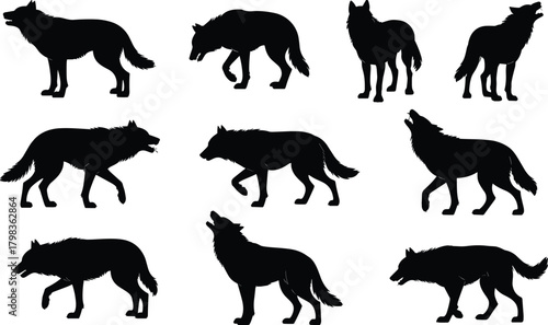 Wild wolf silhouette vector illustration set showing multiple wolf poses including walking, howling, and standing in detailed black shapes.