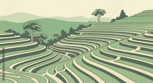 Illustrative Serenity: A Verdant Vista of Terrace Farming Landscape Scenery