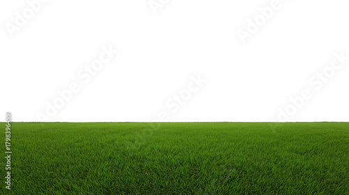 Vast grassy field with clear sky and horizon line, transparent background