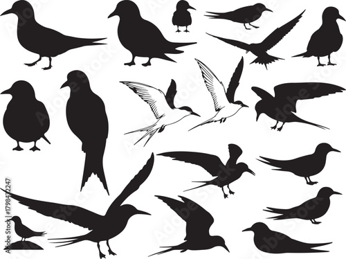 Solid black silhouette vector of Arctic Tern