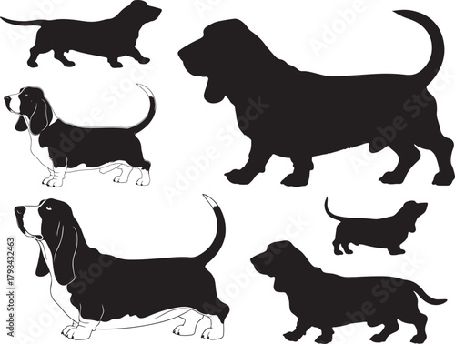Solid black silhouette vector of Basset Hound