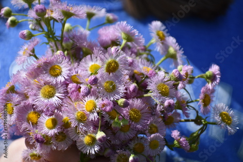 Girl holding bouquet of purple wildflowers