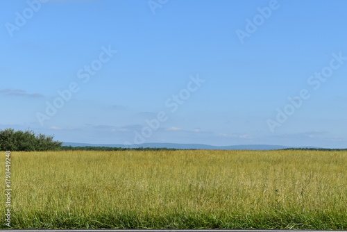 Landscape of green field extending under vast blue sky with Blue Ridge Mountains on horizon in Shenandoah Valley