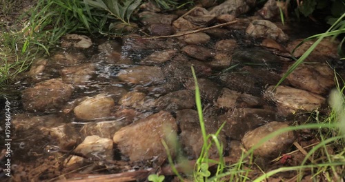 Small stream of water brook peacefully flowing on stones