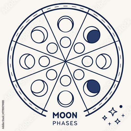 Diagram of Moon Phases in a Circular Chart lunar cycle phases of the moon