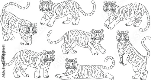 Seven Striped Tigers Posed in Various Positions, Illustrated Outlines on a White Background