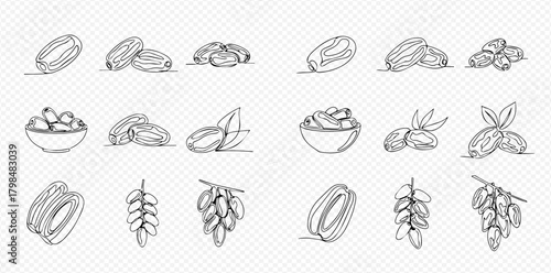 Date fruit line art icons set, hand drawn illustrations of whole and cut dates, with leaves and on branches, in various arrangements.