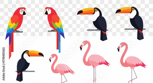 Collection of colorful tropical birds in flat vector style isolated on transparency background