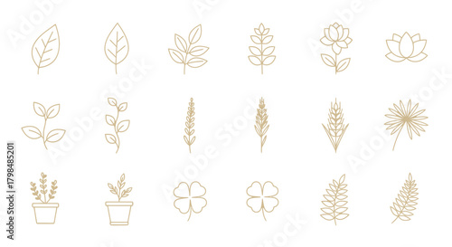 Elegant and simplistic floral and plant icon set in a delicate gold color scheme