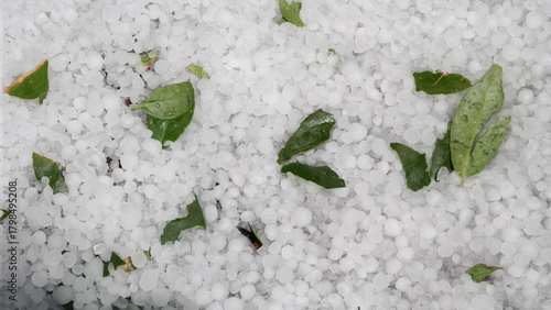 Pile of hail and leaves after a thunderstorm in Bend, Oregon