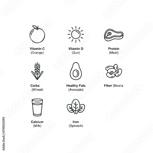 Nutrient Icons Representing Vitamins Protein Carbs and Healthy Fats