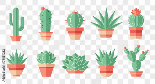 Collection of Various Cacti and Succulent Plants in Pots Illustration Design