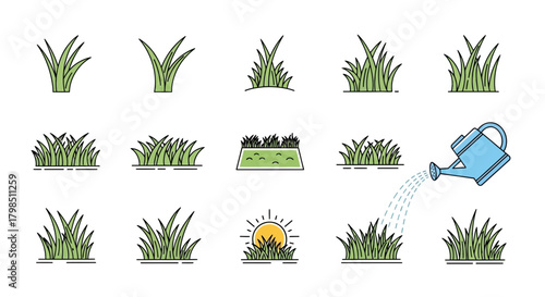 Various illustrations of green grass clumps and a watering can isolated on white background