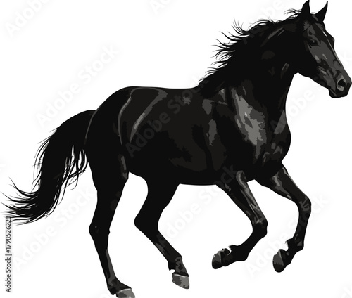 Black horse running